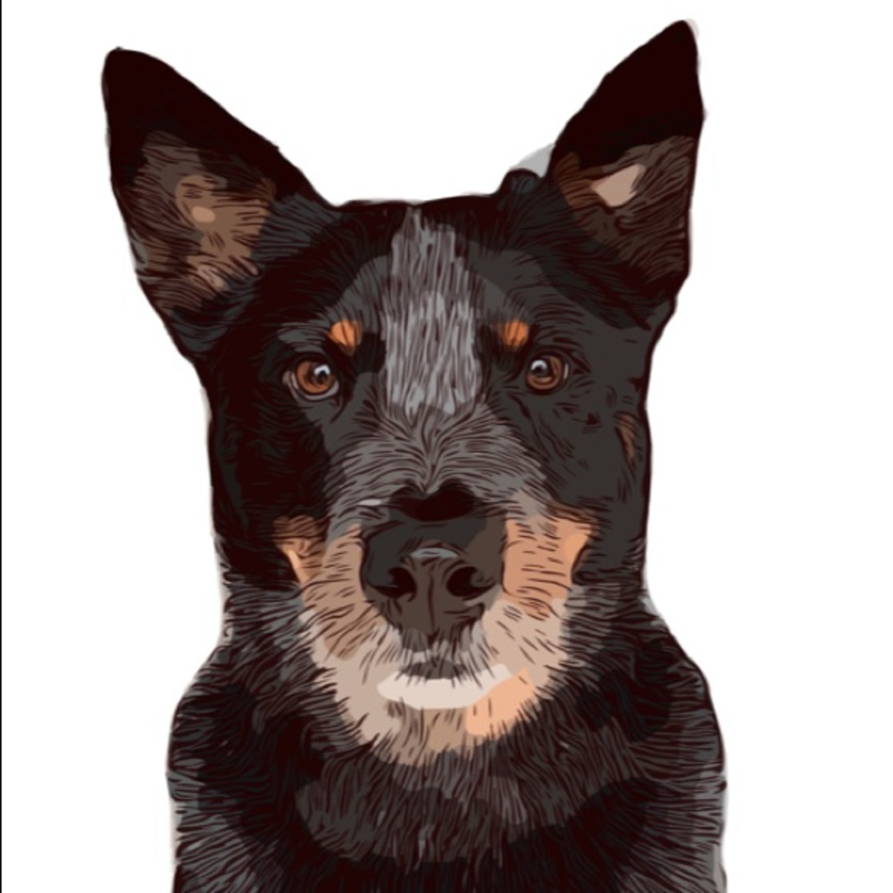 Meet your Posher, Boone